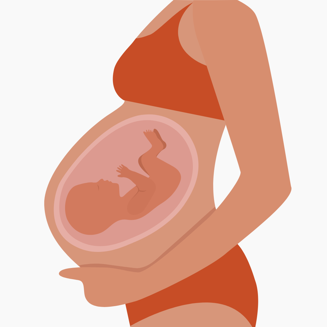 Guía Embarazo Sano + Ejercicios GRATIS
