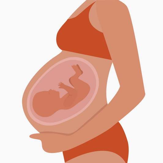 Guía Embarazo Sano + Ejercicios GRATIS